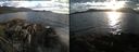 ./images/rivers-inlet/ethel/20160502/ethel20160502_194959.jpg