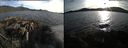 ./images/rivers-inlet/ethel/20160506/ethel20160506_194459.jpg