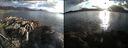 ./images/rivers-inlet/ethel/20160508/ethel20160508_194459.jpg