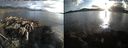 ./images/rivers-inlet/ethel/20160508/ethel20160508_194959.jpg