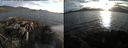 ./images/rivers-inlet/ethel/20160510/ethel20160510_195459.jpg