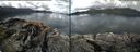 ./images/rivers-inlet/ethel/20160529/ethel20160529_095959.jpg