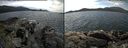 ./images/rivers-inlet/ethel/20160604/ethel20160604_142958.jpg