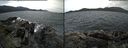 ./images/rivers-inlet/ethel/20160605/ethel20160605_132458.jpg