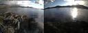 ./images/rivers-inlet/ethel/20160609/ethel20160609_195458.jpg