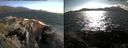 ./images/rivers-inlet/ethel/20160620/ethel20160620_181958.jpg