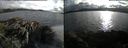 ./images/rivers-inlet/ethel/20160625/ethel20160625_194427.jpg