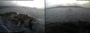 ./images/rivers-inlet/ethel/20160926/ethel20160926_151959.jpg