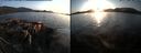 ./images/rivers-inlet/ethel/20160927/ethel20160927_184459.jpg