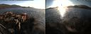 ./images/rivers-inlet/ethel/20160929/ethel20160929_182959.jpg