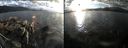 ./images/rivers-inlet/ethel/20161007/ethel20161007_174459.jpg