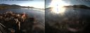 ./images/rivers-inlet/ethel/20161011/ethel20161011_180459.jpg