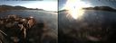 ./images/rivers-inlet/ethel/20161011/ethel20161011_180959.jpg