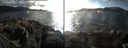 ./images/rivers-inlet/ethel/20161013/ethel20161013_155959.jpg