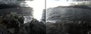 ./images/rivers-inlet/ethel/20161020/ethel20161020_151959.jpg