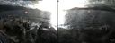 ./images/rivers-inlet/ethel/20161020/ethel20161020_161959.jpg