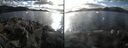 ./images/rivers-inlet/ethel/20161023/ethel20161023_154451.jpg