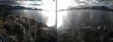 ./images/rivers-inlet/ethel/20161023/ethel20161023_155951.jpg