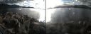 ./images/rivers-inlet/ethel/20161023/ethel20161023_160451.jpg
