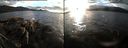 ./images/rivers-inlet/ethel/20161024/ethel20161024_174451.jpg