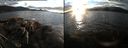 ./images/rivers-inlet/ethel/20161024/ethel20161024_174951.jpg