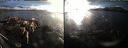 ./images/rivers-inlet/ethel/20161027/ethel20161027_174441.jpg