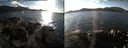 ./images/rivers-inlet/ethel/20161106/ethel20161106_134914.jpg