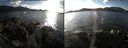 ./images/rivers-inlet/ethel/20161106/ethel20161106_141414.jpg