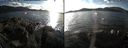 ./images/rivers-inlet/ethel/20161106/ethel20161106_142914.jpg