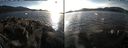 ./images/rivers-inlet/ethel/20161109/ethel20161109_143908.jpg