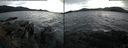 ./images/rivers-inlet/ethel/20161110/ethel20161110_084903.jpg