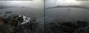./images/rivers-inlet/ethel/20161112/ethel20161112_094500.jpg