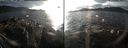 ./images/rivers-inlet/ethel/20161129/ethel20161129_151000.jpg