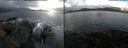 ./images/rivers-inlet/ethel/20161130/ethel20161130_115000.jpg