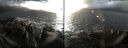 ./images/rivers-inlet/ethel/20161202/ethel20161202_153001.jpg
