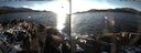 ./images/rivers-inlet/ethel/20161206/ethel20161206_150001.jpg