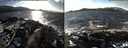 ./images/rivers-inlet/ethel/20161207/ethel20161207_130001.jpg