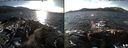 ./images/rivers-inlet/ethel/20161208/ethel20161208_133001.jpg