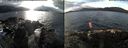 ./images/rivers-inlet/ethel/20161209/ethel20161209_123001.jpg