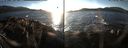 ./images/rivers-inlet/ethel/20161212/ethel20161212_151001.jpg