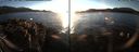 ./images/rivers-inlet/ethel/20161214/ethel20161214_154501.jpg