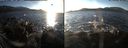 ./images/rivers-inlet/ethel/20161215/ethel20161215_143501.jpg