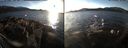 ./images/rivers-inlet/ethel/20161223/ethel20161223_145501.jpg