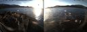 ./images/rivers-inlet/ethel/20161223/ethel20161223_151001.jpg