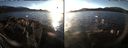 ./images/rivers-inlet/ethel/20161223/ethel20161223_151501.jpg