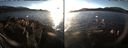 ./images/rivers-inlet/ethel/20161223/ethel20161223_152001.jpg