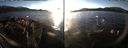 ./images/rivers-inlet/ethel/20161223/ethel20161223_152501.jpg