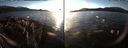 ./images/rivers-inlet/ethel/20161223/ethel20161223_153501.jpg