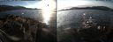 ./images/rivers-inlet/ethel/20161224/ethel20161224_145501.jpg