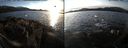 ./images/rivers-inlet/ethel/20161224/ethel20161224_150001.jpg